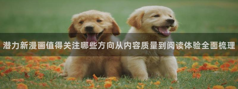漫蛙漫画网页最新地址:潜力新漫画值得关注哪些方向从内容质量到阅读体验全面梳理
